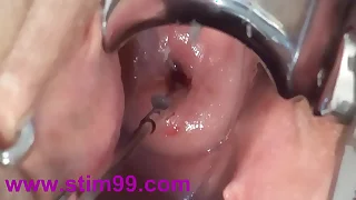 13383 japanese porn videos